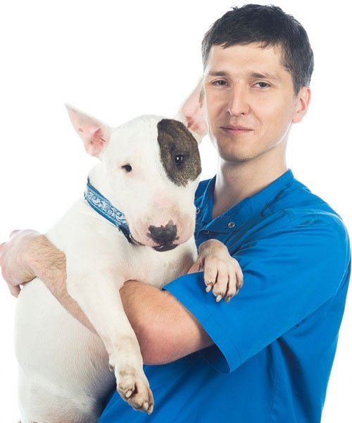 dr Sergej Lužetski - Oftalmolog Rus za pse