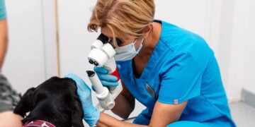 General eye examination