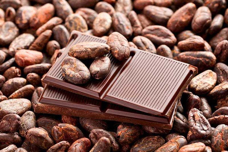 cokolada kakao